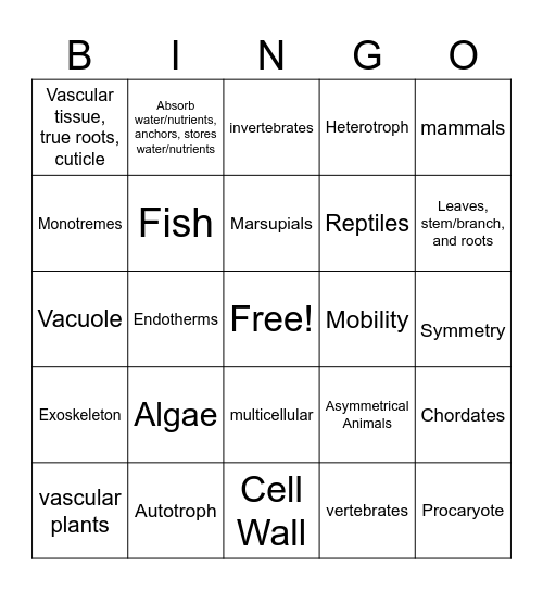 Plants and Animals Review Bingo Card