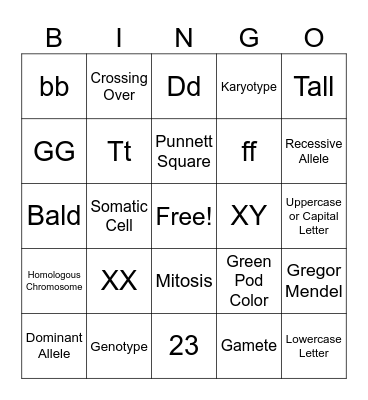 Genetics Vocabulary Bingo Card