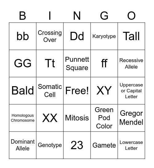 Genetics Vocabulary Bingo Card