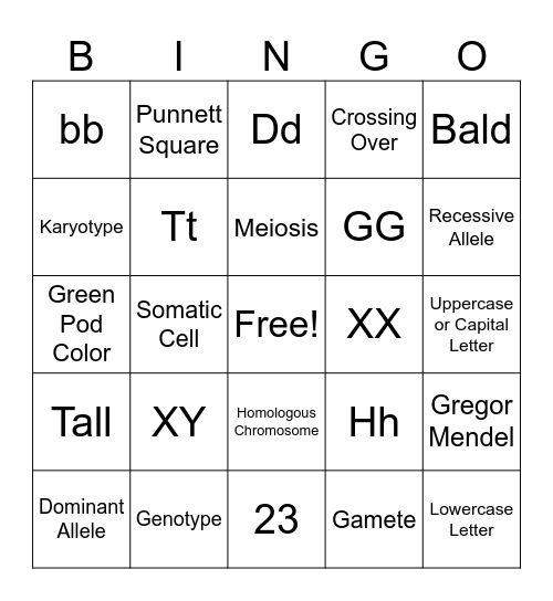 Genetics Vocabulary Bingo Card