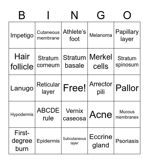 Integumentary System Bingo Card