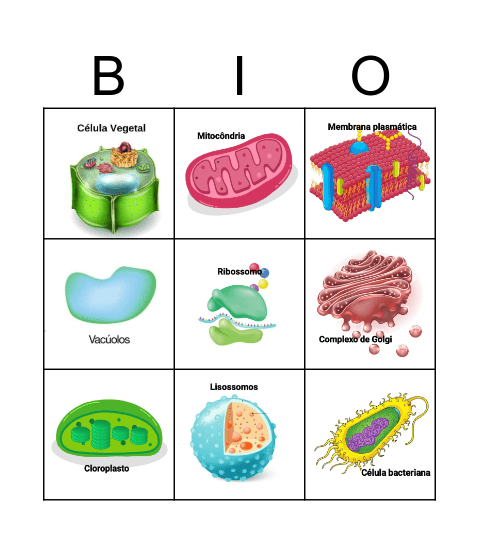 Bingo Celular Bingo Card