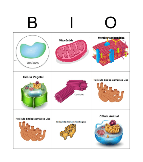 Bingo Celular Bingo Card