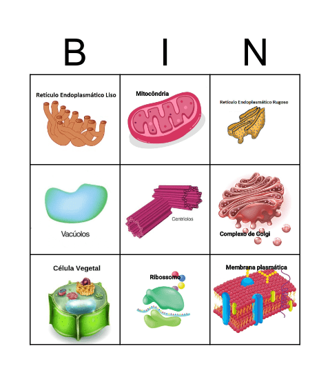 Bingo Celular Bingo Card