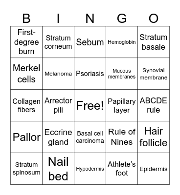 INTEGUMENTARY SYSTEM Bingo Card