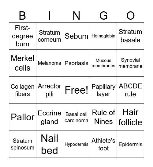 INTEGUMENTARY SYSTEM Bingo Card