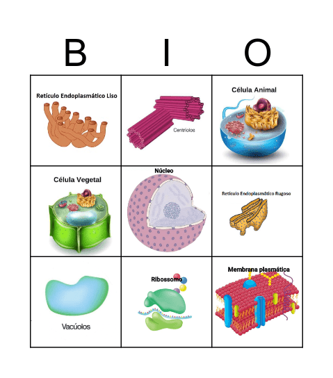 Bingo celular Bingo Card