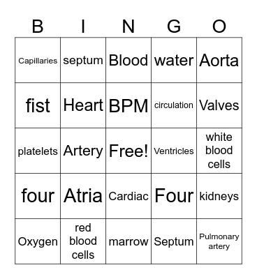 The Circulatory System Bingo Card