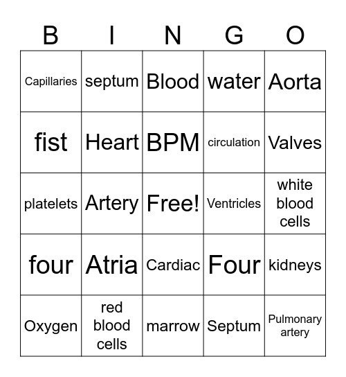 The Circulatory System Bingo Card