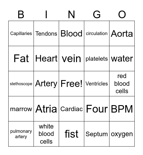 The Circulatory System Bingo Card