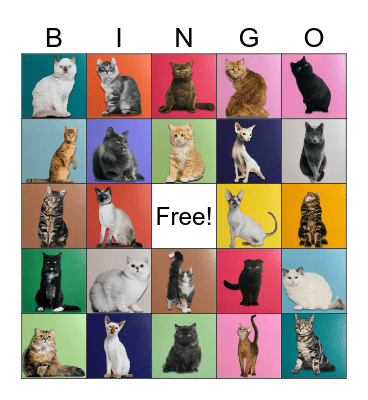 Cat Bingo Card