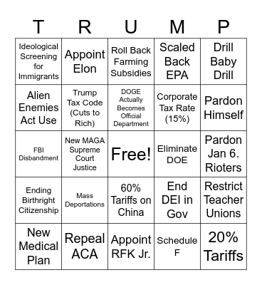 Trump 2nd Term (2024-2028) Bingo Card