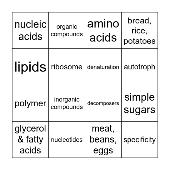 Biomolecules BINGO Card