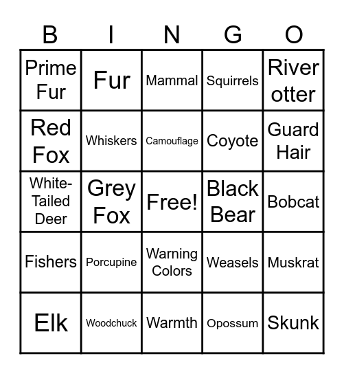 PA Mammal Bingo Card