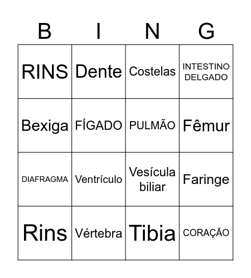 Sistemas do Corpo Humano Bingo Card