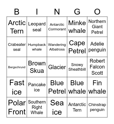 Antarctic Bingo Card