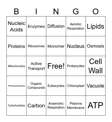 Biology Bingo Card