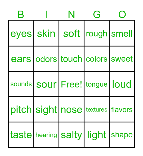 The 5 Senses Bingo Card