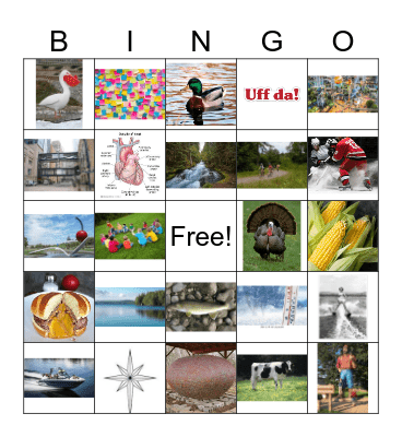 Minnesota Bingo Card
