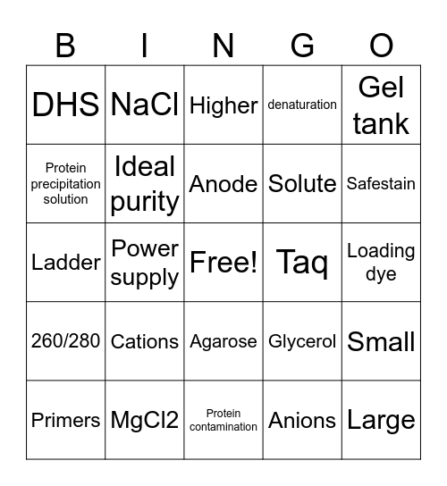 MGT Final Review Bingo Card