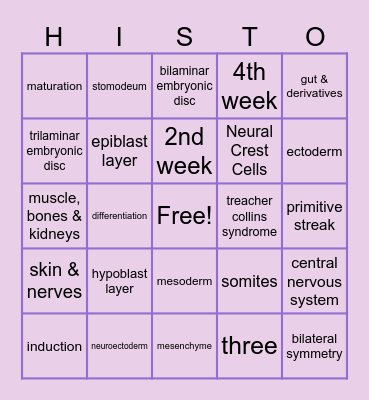 Embryonic Period (wks 2-8) Bingo Card