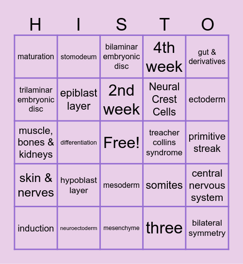 Embryonic Period (wks 2-8) Bingo Card