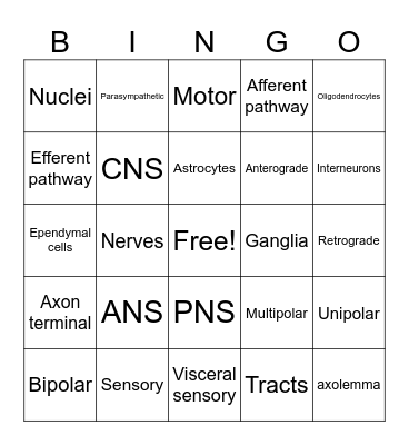 Chapter 11 Nervous System Bingo Card