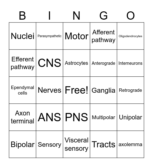 Chapter 11 Nervous System Bingo Card