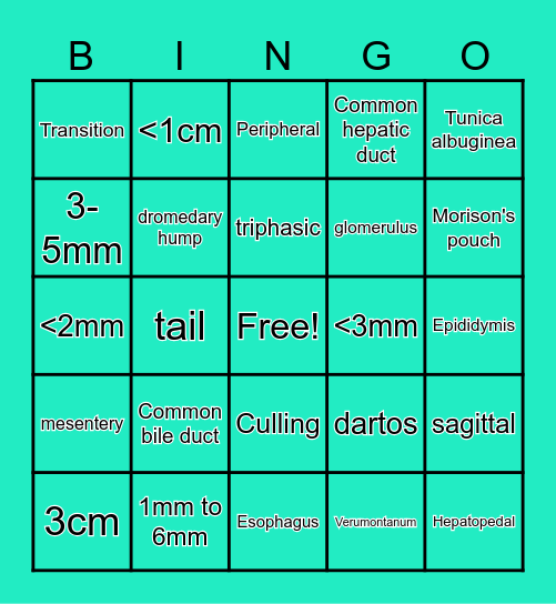 DMS 102 Final Review Bingo Card