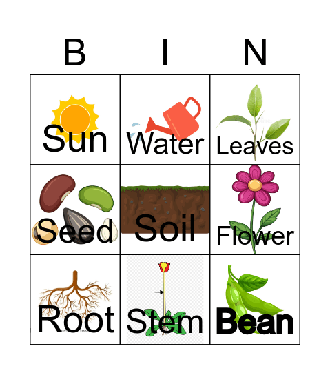 Plant bingo Card