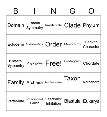 Vocabulary Bingo Card