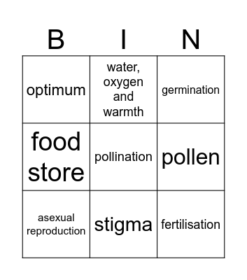 N4 Plants Bingo Card