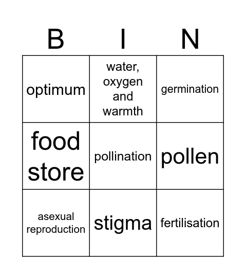 N4 Plants Bingo Card