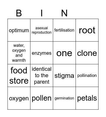STEM Family Night Bingo Card
