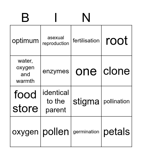 STEM Family Night Bingo Card