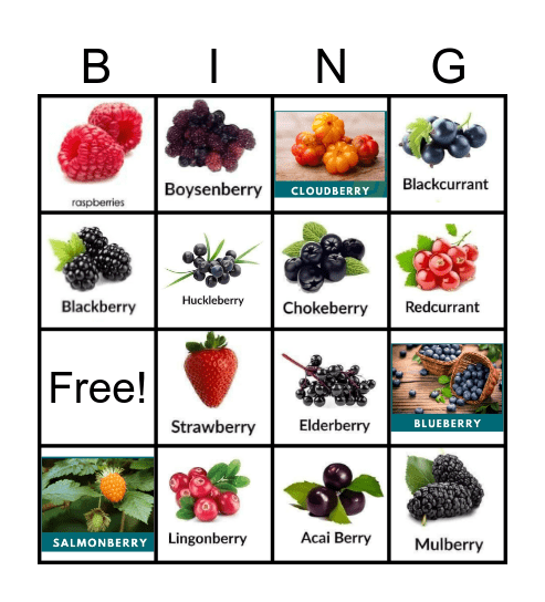 Berries Bingo Card