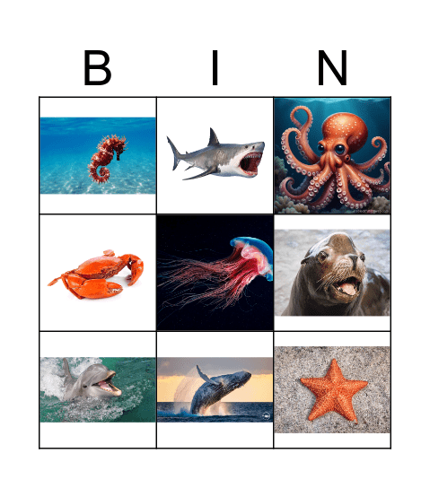 Aquarium Bingo Card