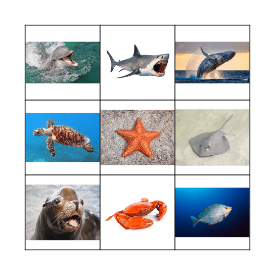 AQUARIUM BINGO Card