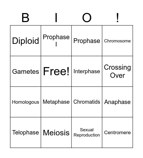 Mitosis and Meiosis Bingo Card