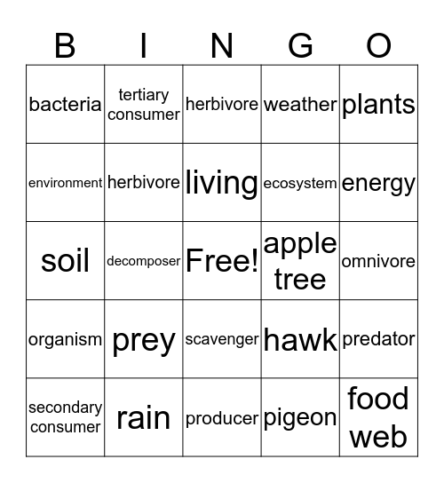 Ecosystems Bingo Card