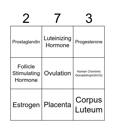 Conception Bingo Card