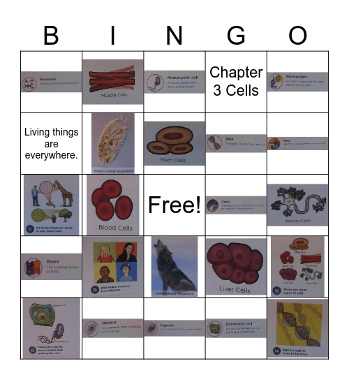 Biology: Chapter 3 Cells Bingo Card