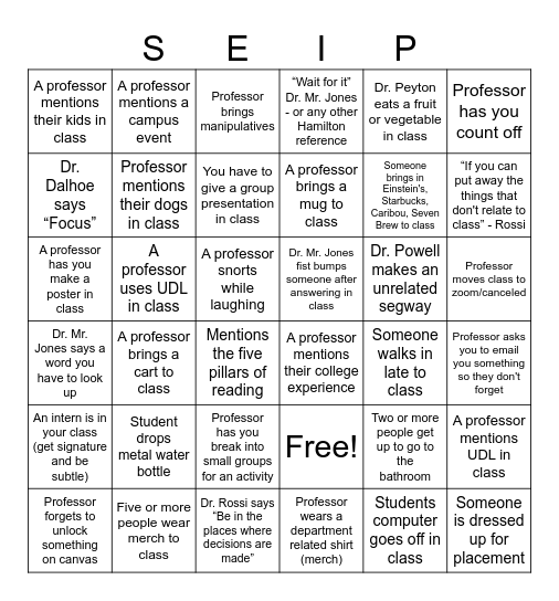 SEIP BINGO Card