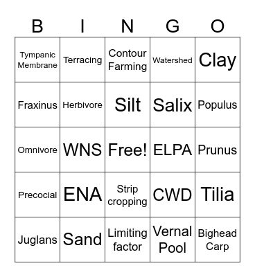 Column 1 Bingo Card