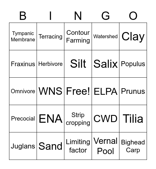 Column 1 Bingo Card
