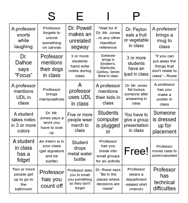 SEIP BINGO Card