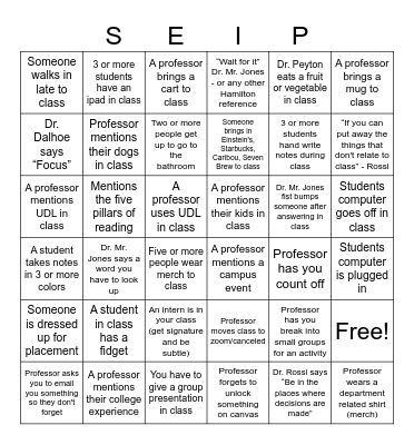 SEIP BINGO Card
