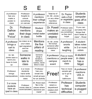 SEIP BINGO Card