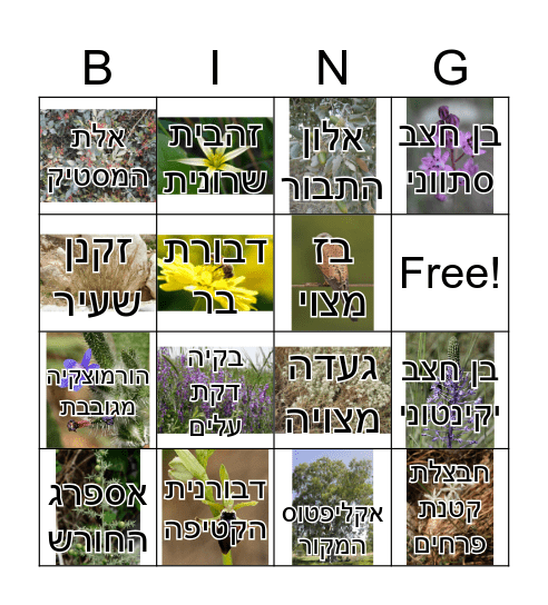 בית הראשונים Bingo Card