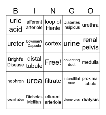 Excretion Bingo Card